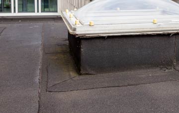 disadvantages of Winlaton Mill flat roofs